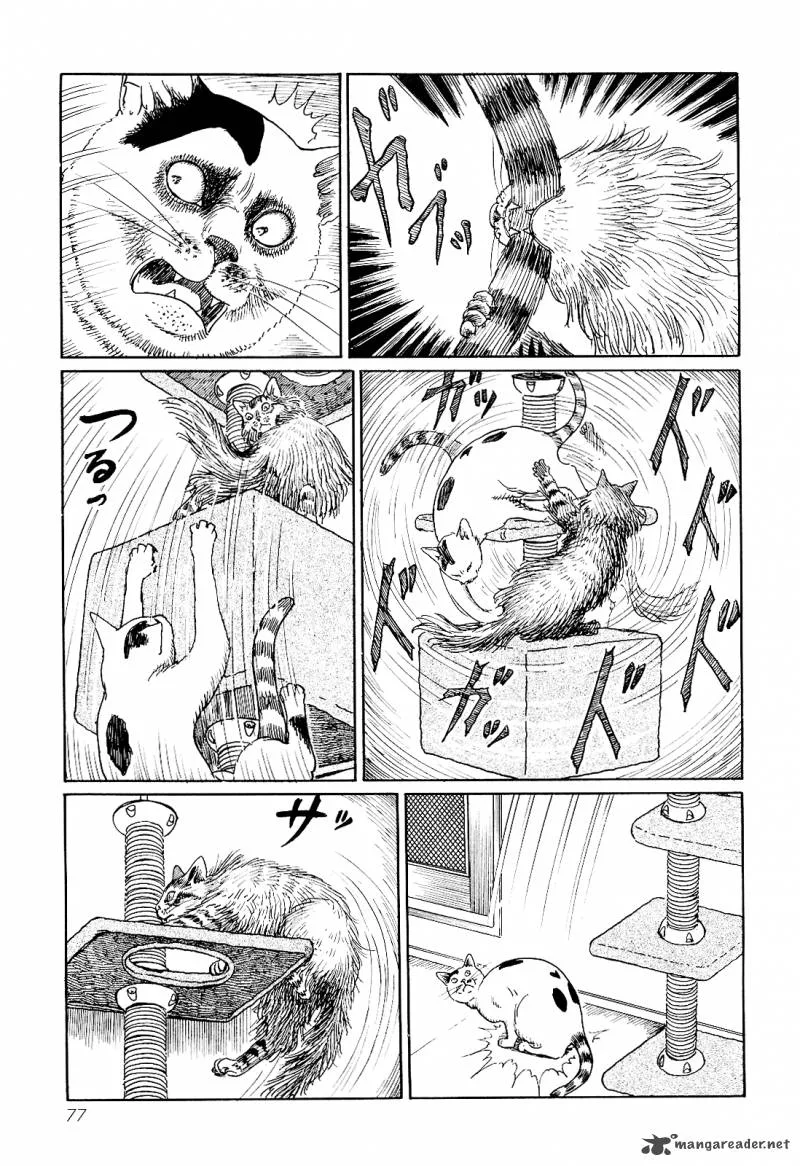Ito Junji's Cat Diary Chapter 7 page 9
