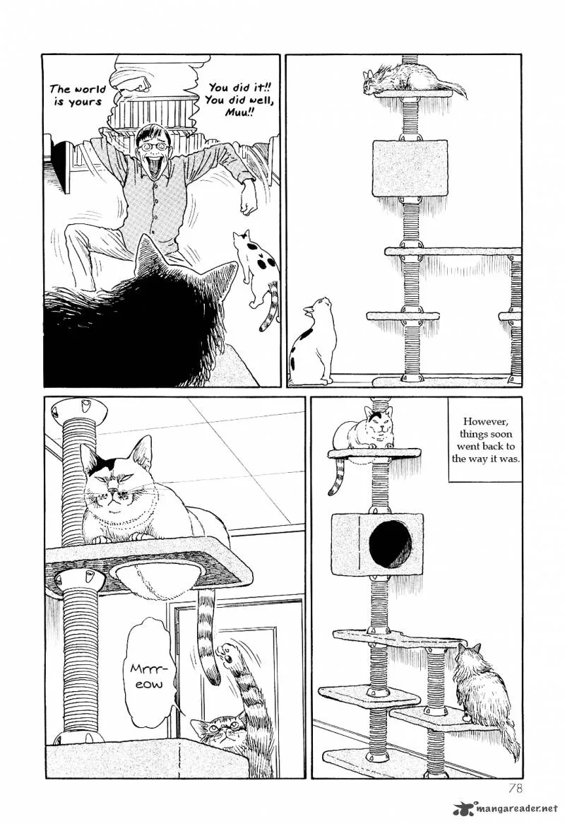Ito Junji's Cat Diary Chapter 7 page 10