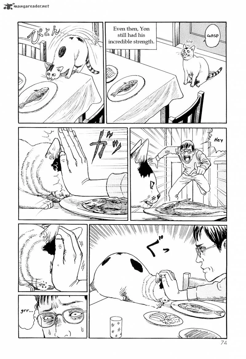 Ito Junji's Cat Diary Chapter 7 page 6