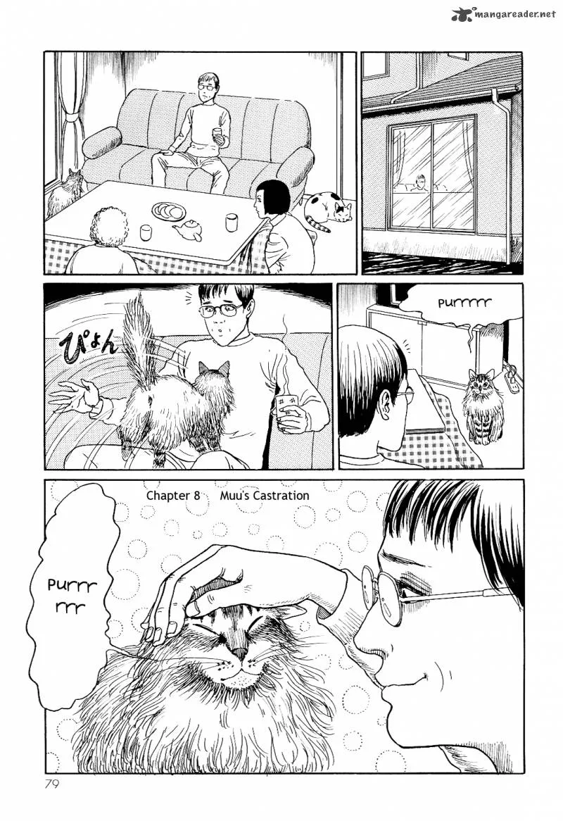 Ito Junji's Cat Diary Chapter 8 page 1