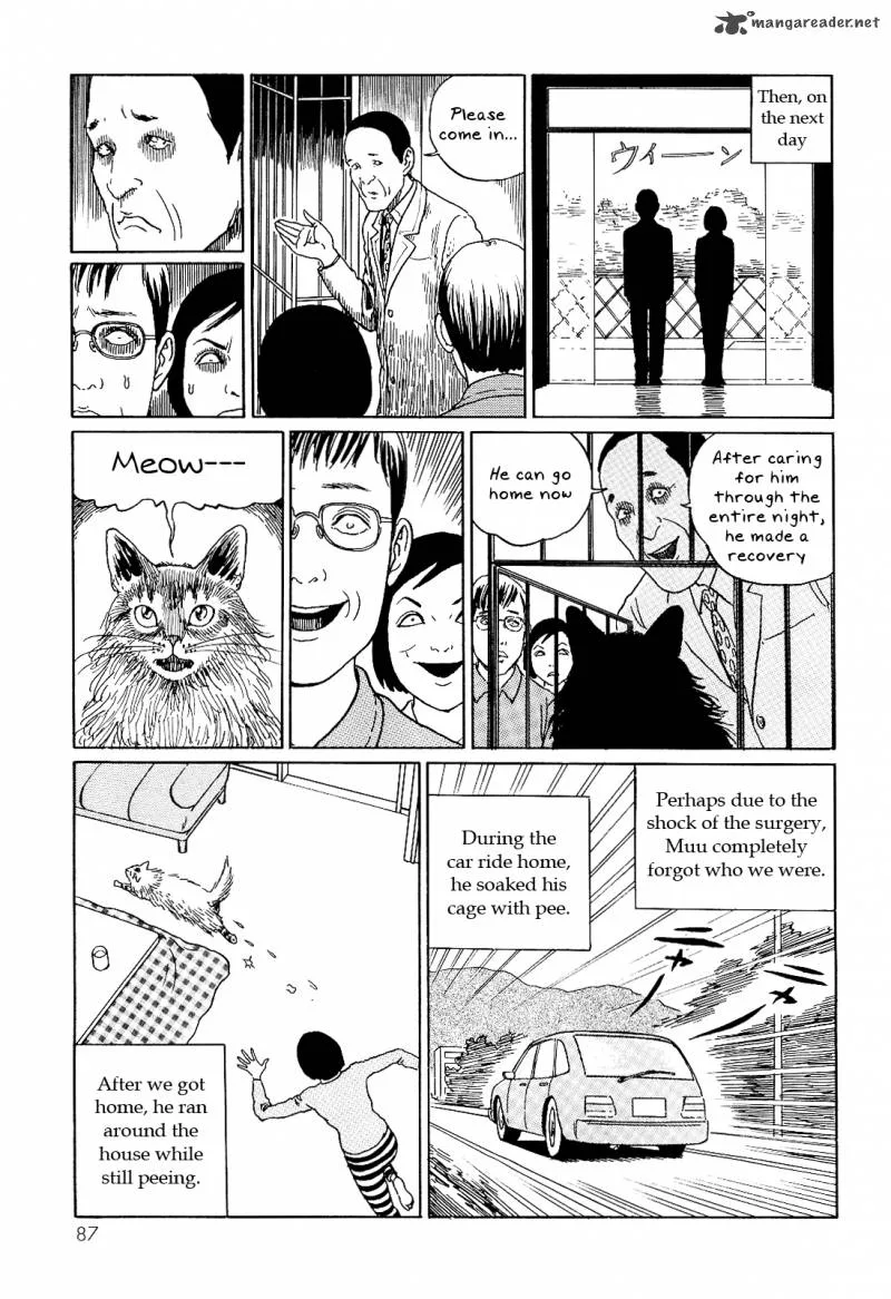 Ito Junji's Cat Diary Chapter 8 page 9