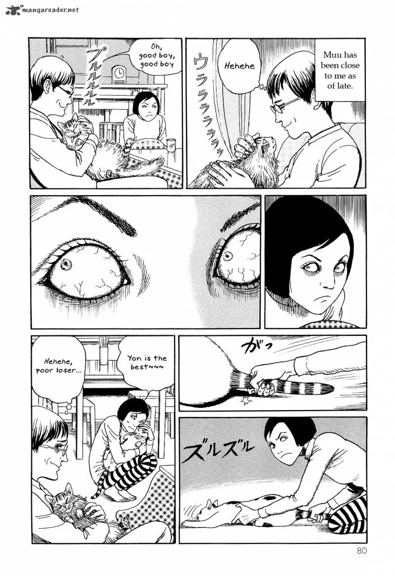Ito Junji's Cat Diary Chapter 8 page 2