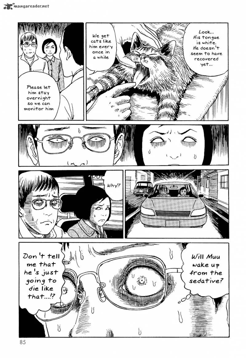 Ito Junji's Cat Diary Chapter 8 page 7