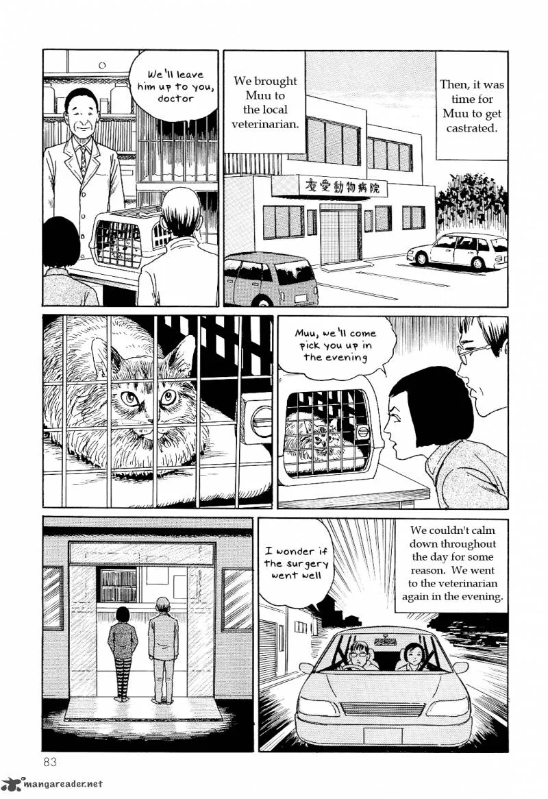 Ito Junji's Cat Diary Chapter 8 page 5