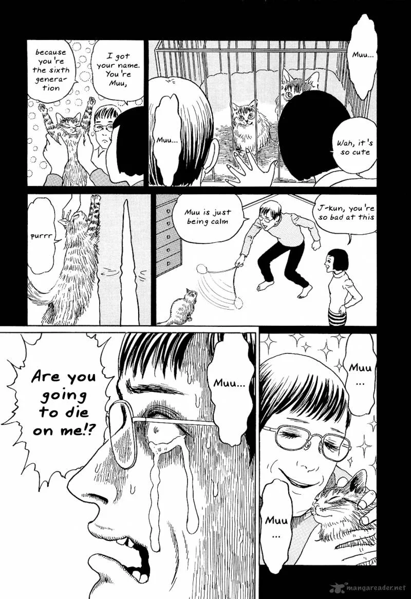 Ito Junji's Cat Diary Chapter 8 page 8