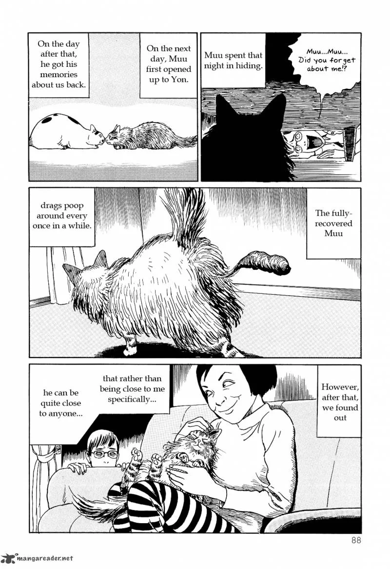 Ito Junji's Cat Diary Chapter 8 page 10
