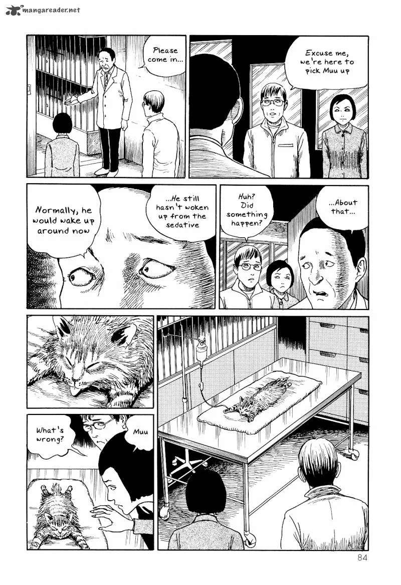 Ito Junji's Cat Diary Chapter 8 page 6