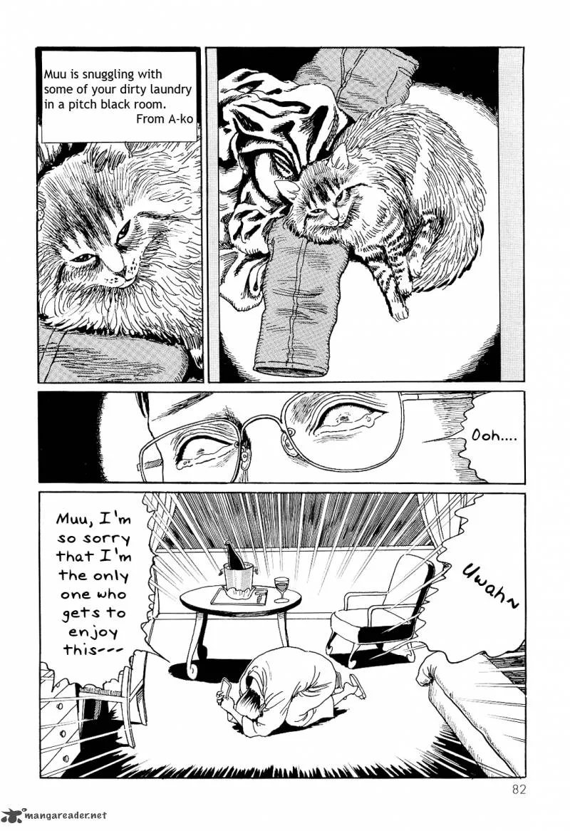 Ito Junji's Cat Diary Chapter 8 page 4