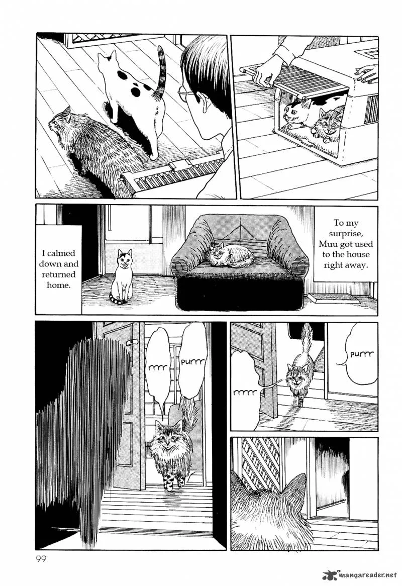 Ito Junji's Cat Diary Chapter 9 page 9