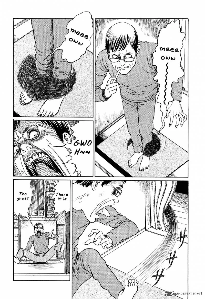 Ito Junji's Cat Diary Chapter 9 page 6