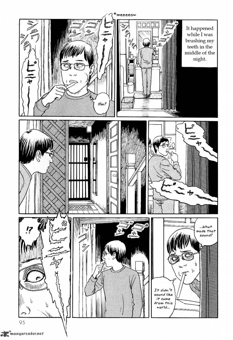 Ito Junji's Cat Diary Chapter 9 page 5