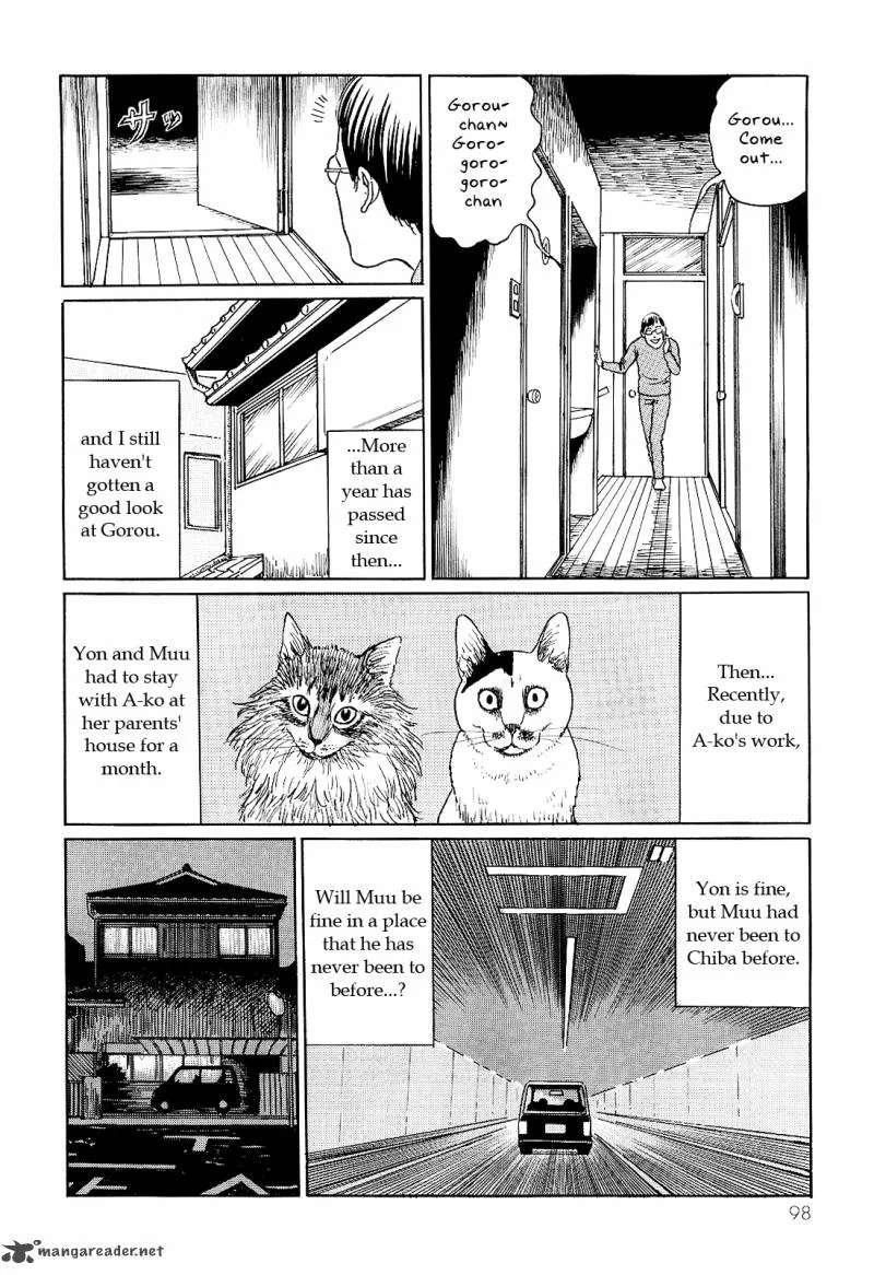 Ito Junji's Cat Diary Chapter 9 page 8