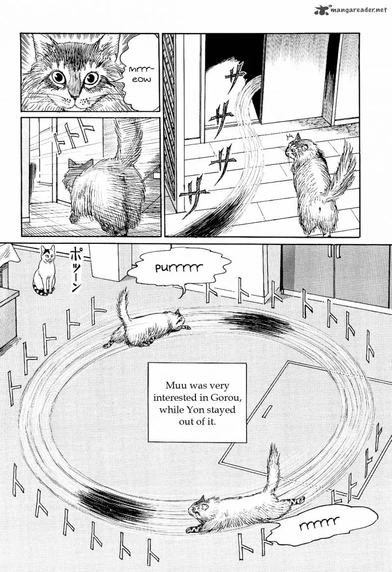 Ito Junji's Cat Diary Chapter 9 page 10