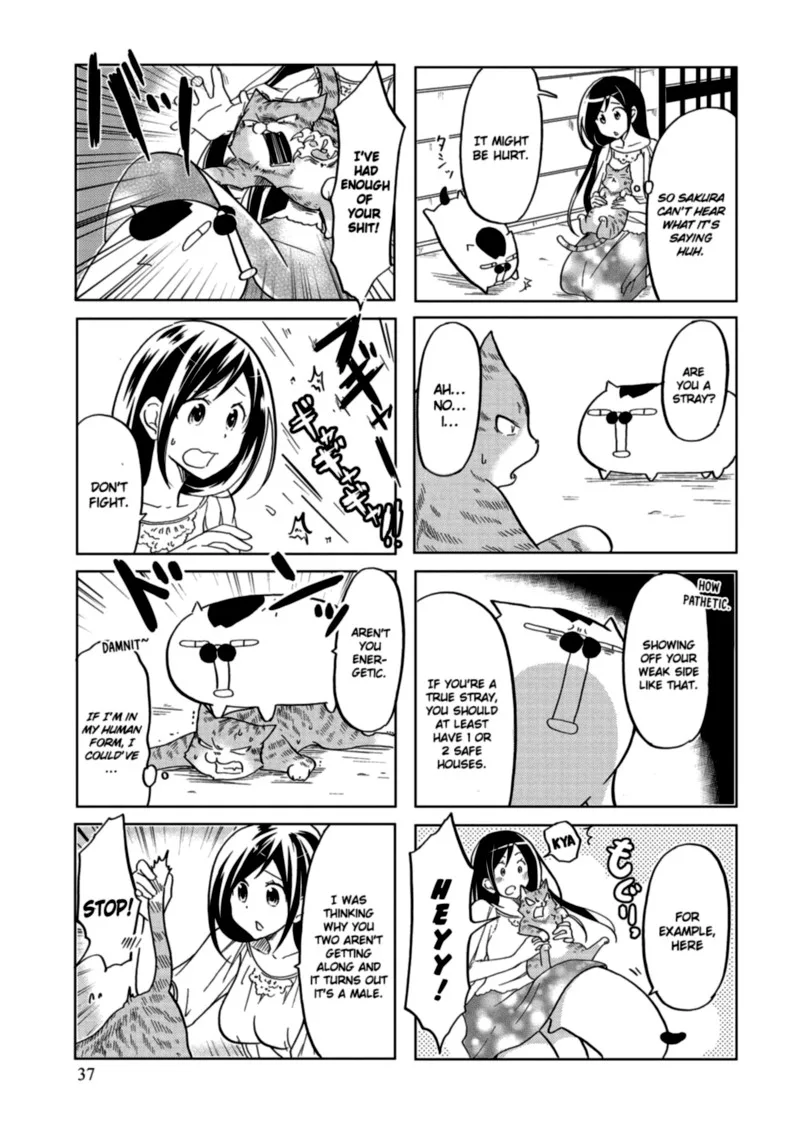 Itoshi no Sakura-san Chapter 25 page 3