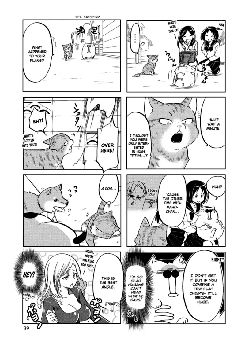 Itoshi no Sakura-san Chapter 25 page 5