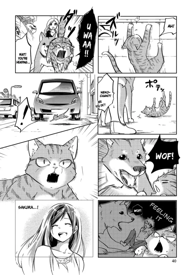 Itoshi no Sakura-san Chapter 25 page 6