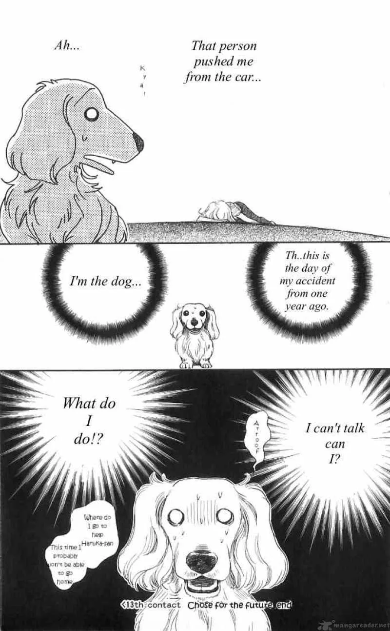 Its Not Like That Darling Chapter 13 page 37