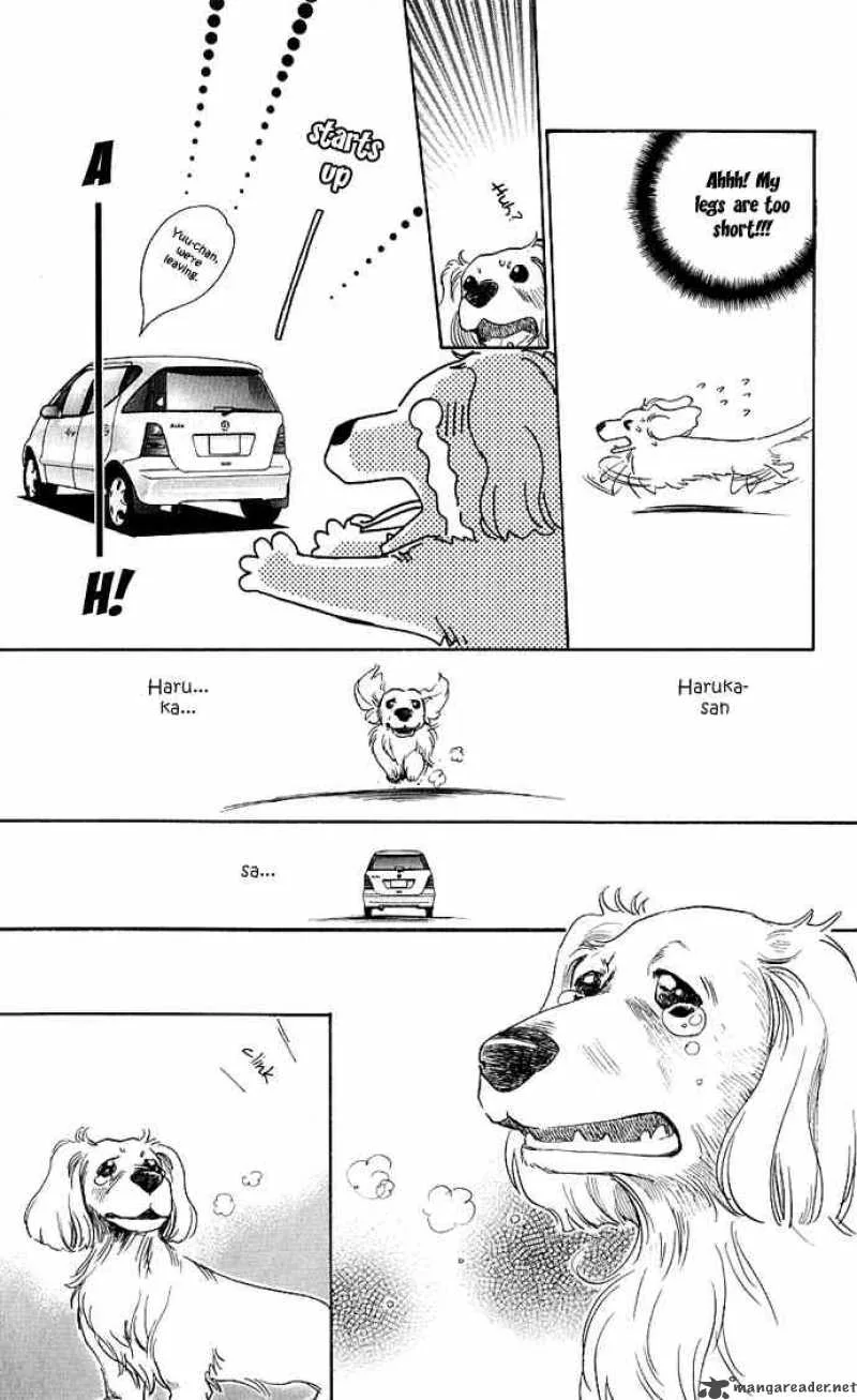 Its Not Like That Darling Chapter 14 page 15