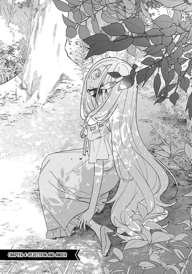 Jiyuu Kimama na Seireihime Chapter 4 page 3