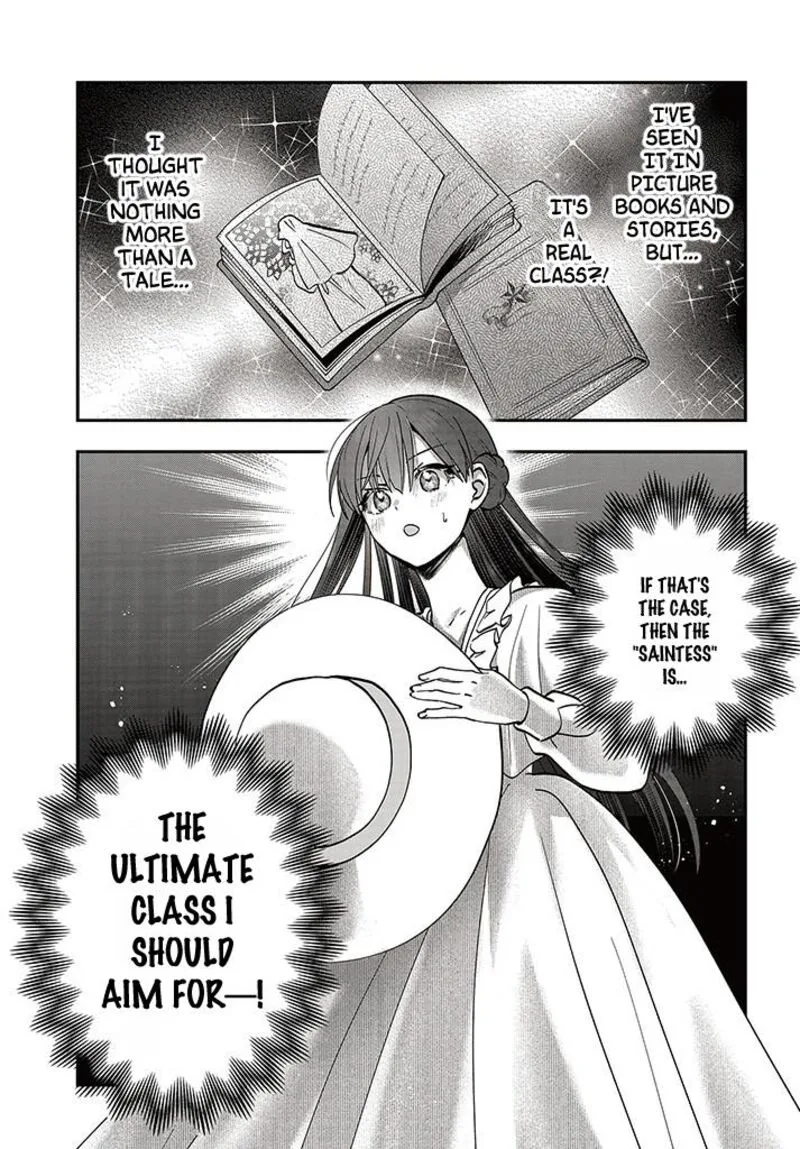 Kaifukushoku no Akuyaku Reijou Chapter 15.2 page 17