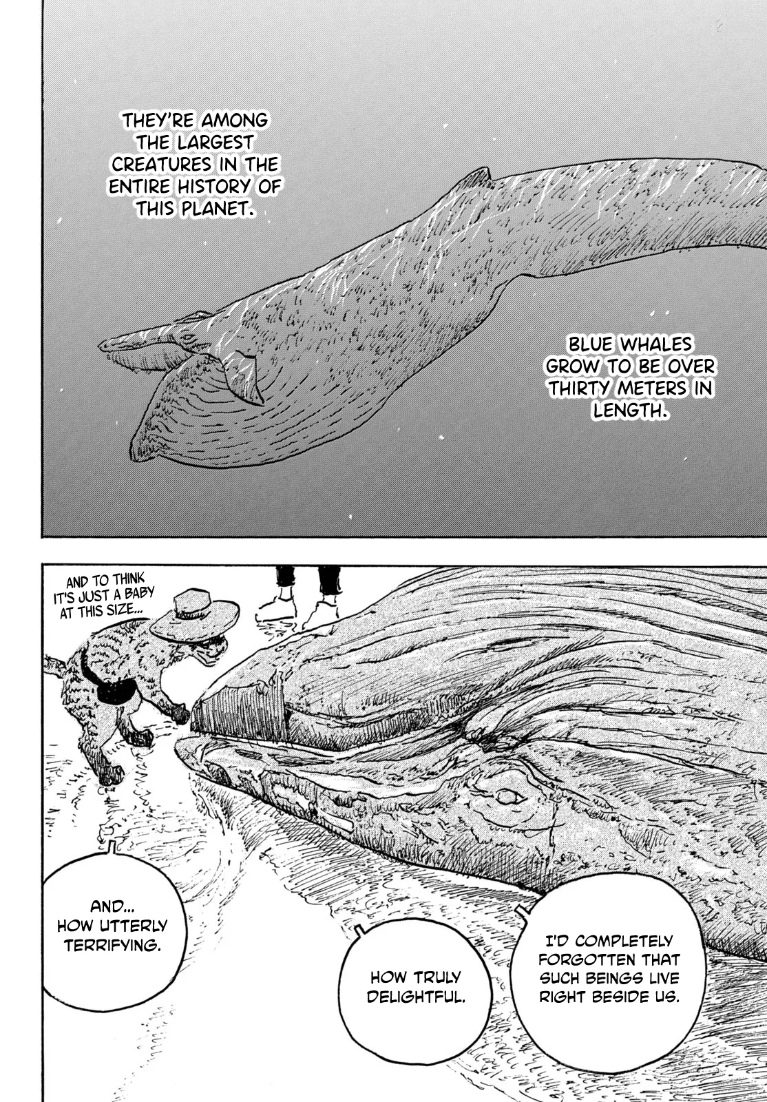 Kamakura BAKEneko Club Chapter 31 page 8