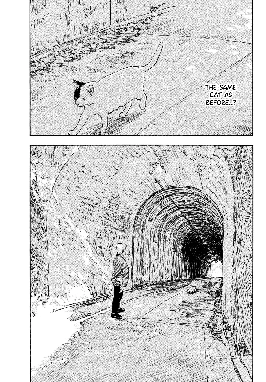 Kamakura BAKEneko Club Chapter 34 page 5
