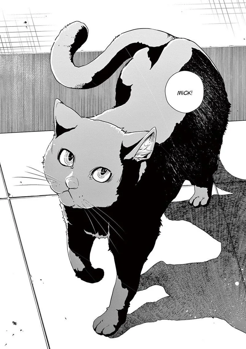 Kamen Rider W: Fuuto Tantei Chapter 16 page 20