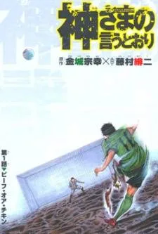 Kamisama no Iutoori II cover