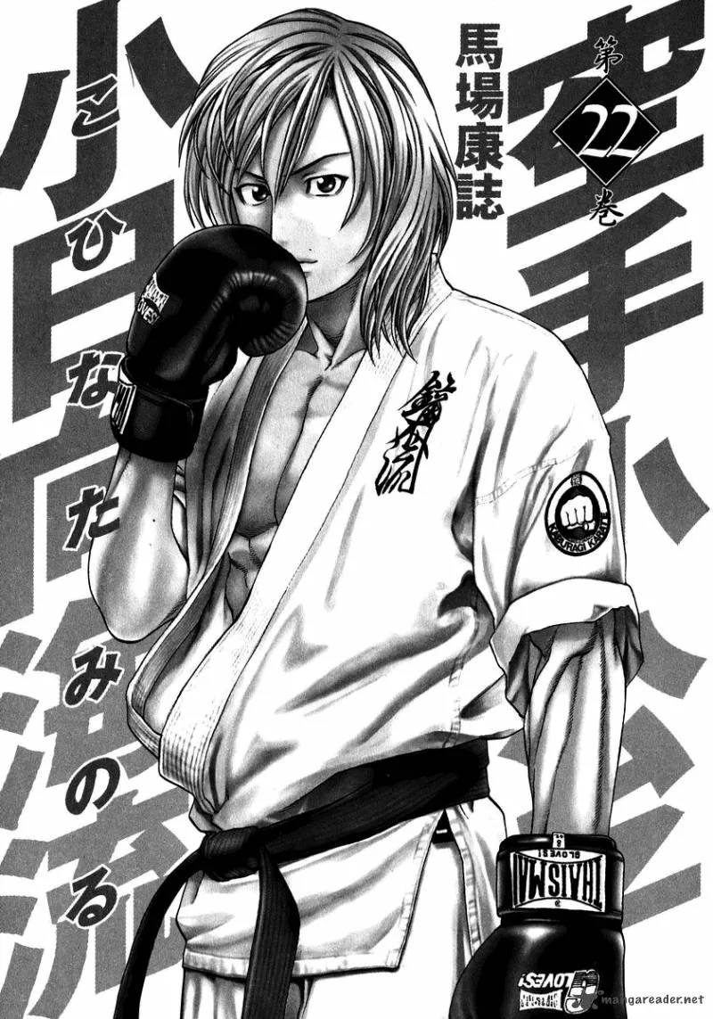 Karate Shoukoushi Kohinata Minoru Chapter 227 page 5