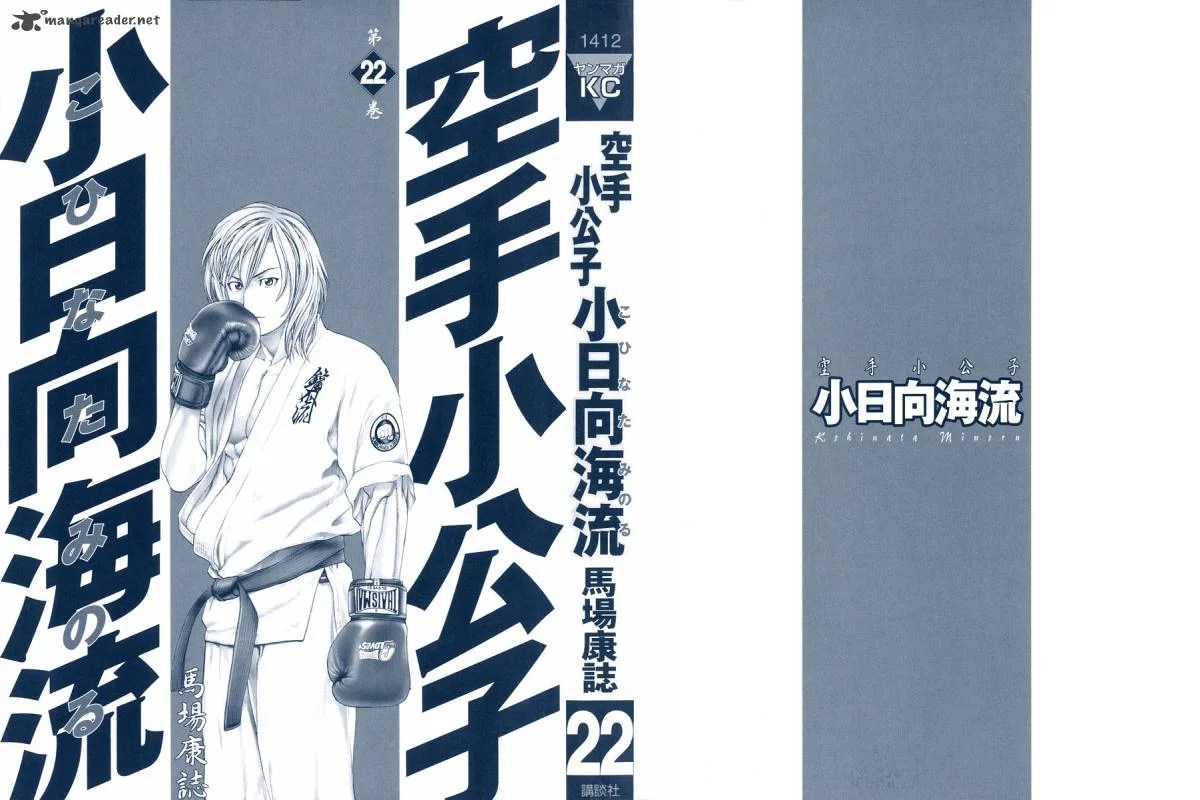 Karate Shoukoushi Kohinata Minoru Chapter 227 page 2