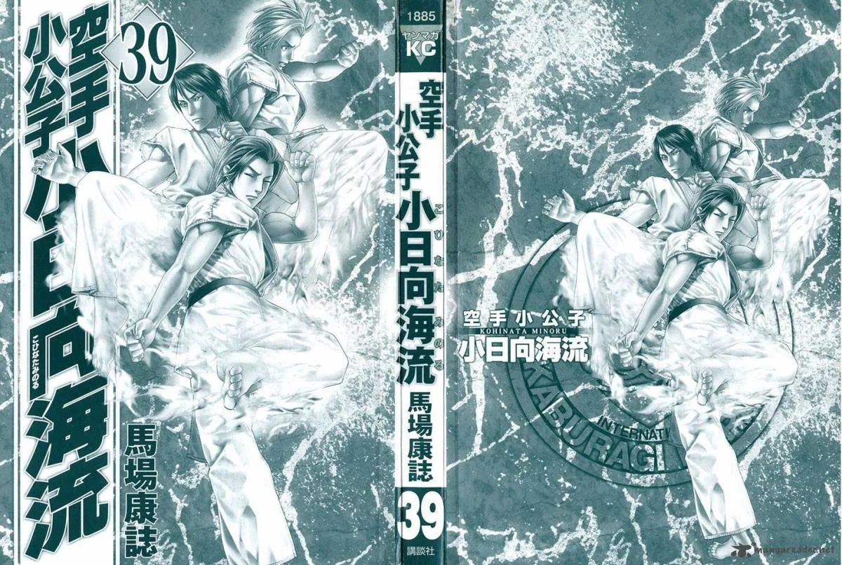 Karate Shoukoushi Kohinata Minoru Chapter 391 page 2