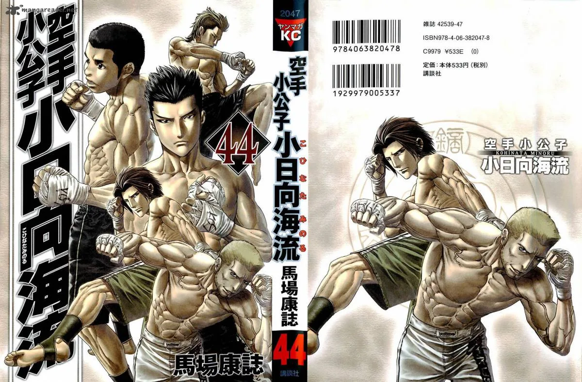 Karate Shoukoushi Kohinata Minoru Chapter 437 page 1