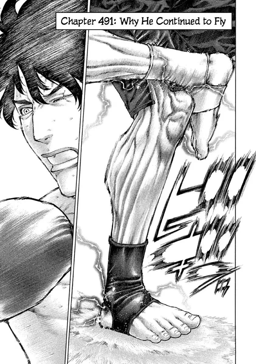 Karate Shoukoushi Kohinata Minoru Chapter 491 page 1