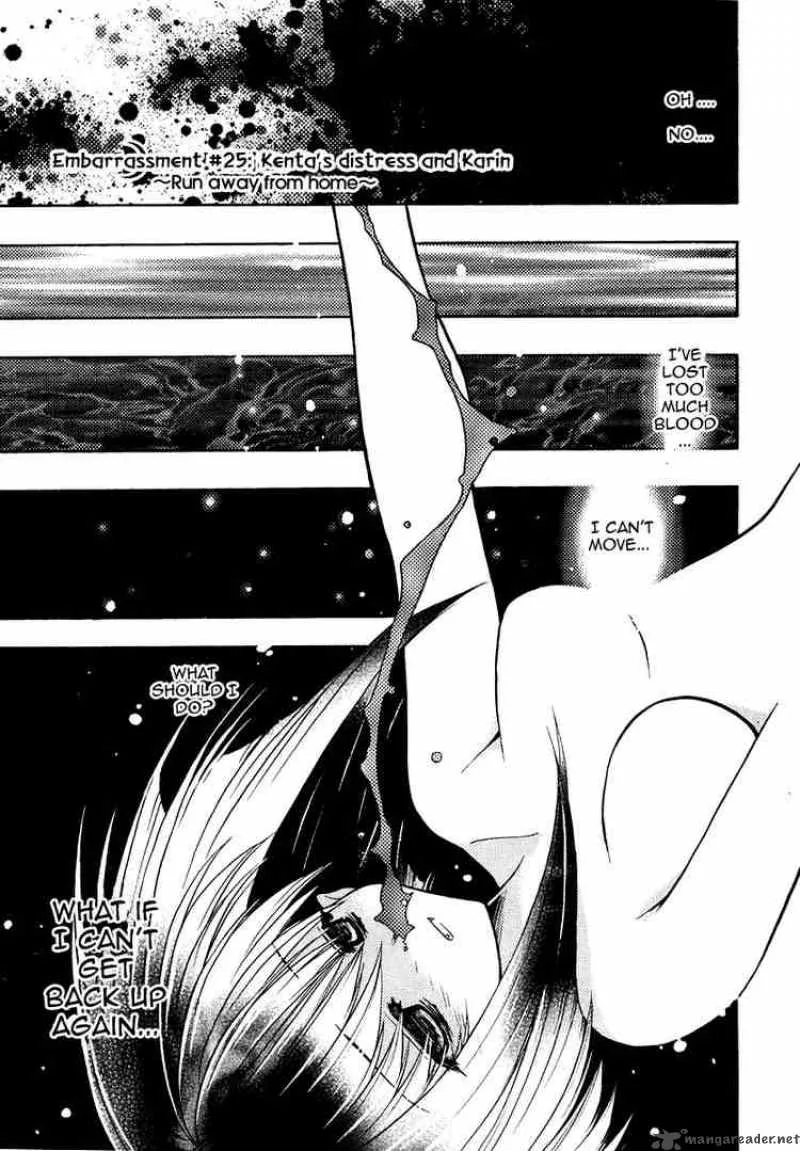 Karin Chapter 25 page 1