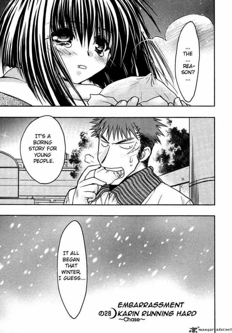 Karin Chapter 28 page 1