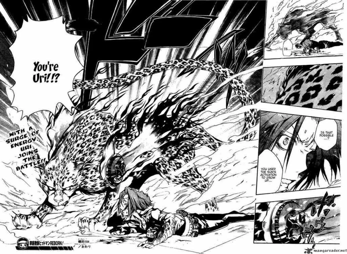 Katekyo Hitman Reborn! Chapter 194 page 16