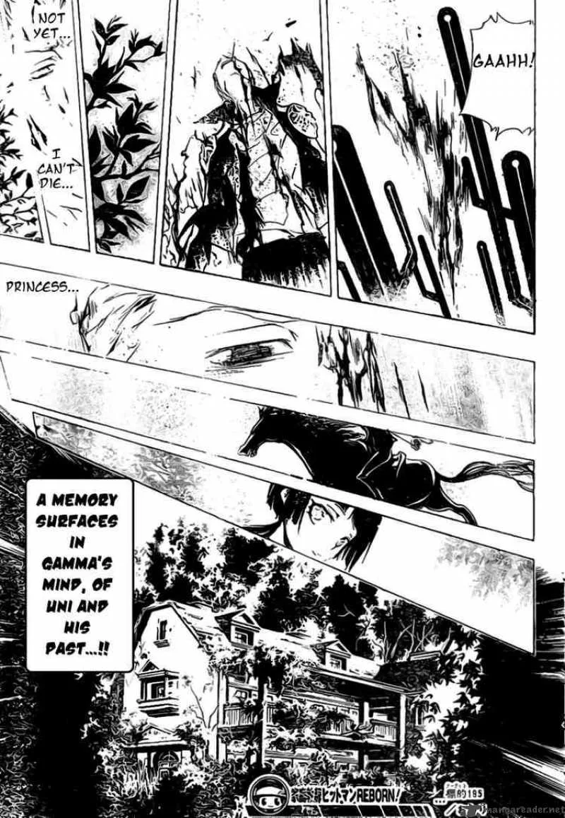 Katekyo Hitman Reborn! Chapter 195 page 17