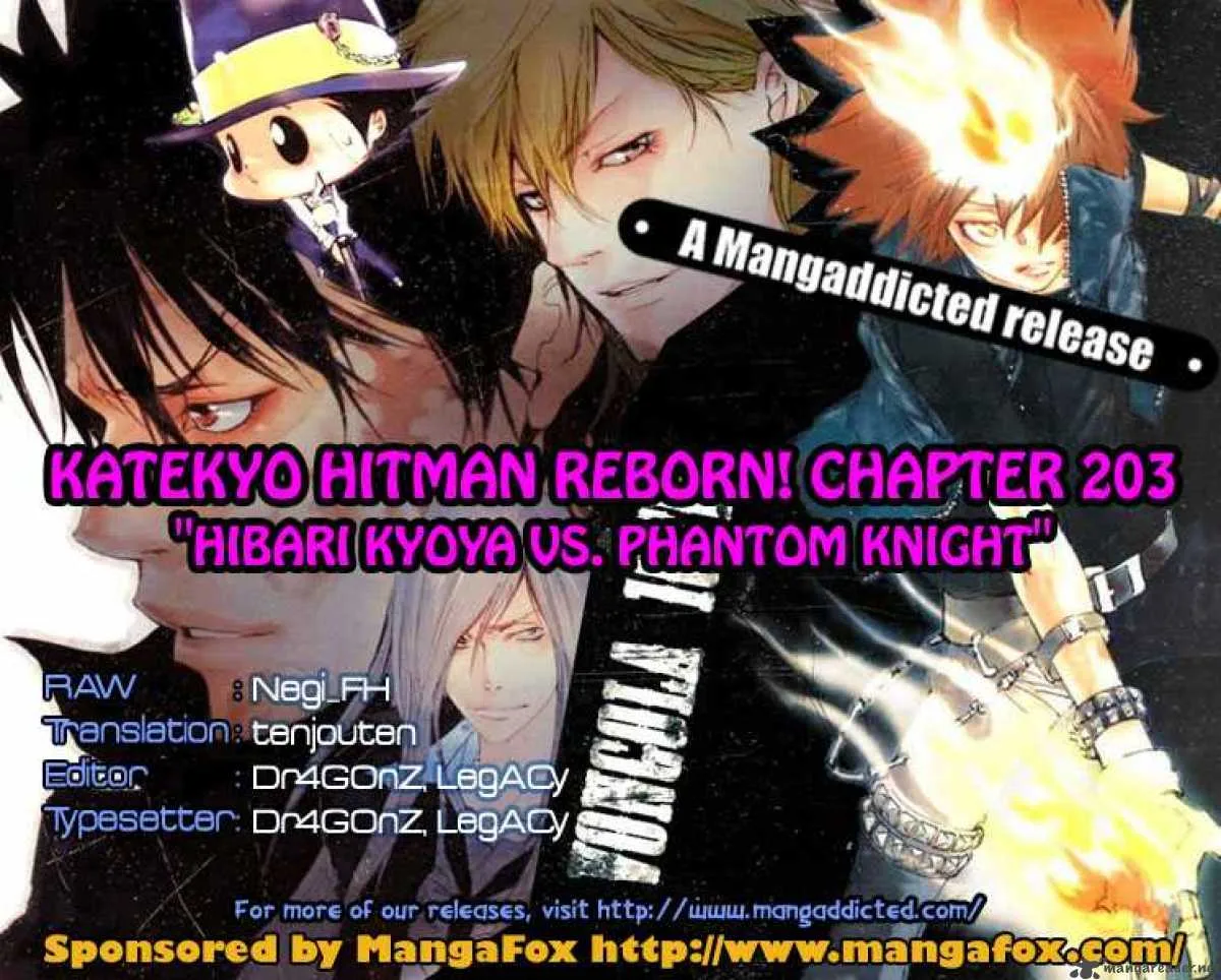 Katekyo Hitman Reborn! Chapter 203 page 18