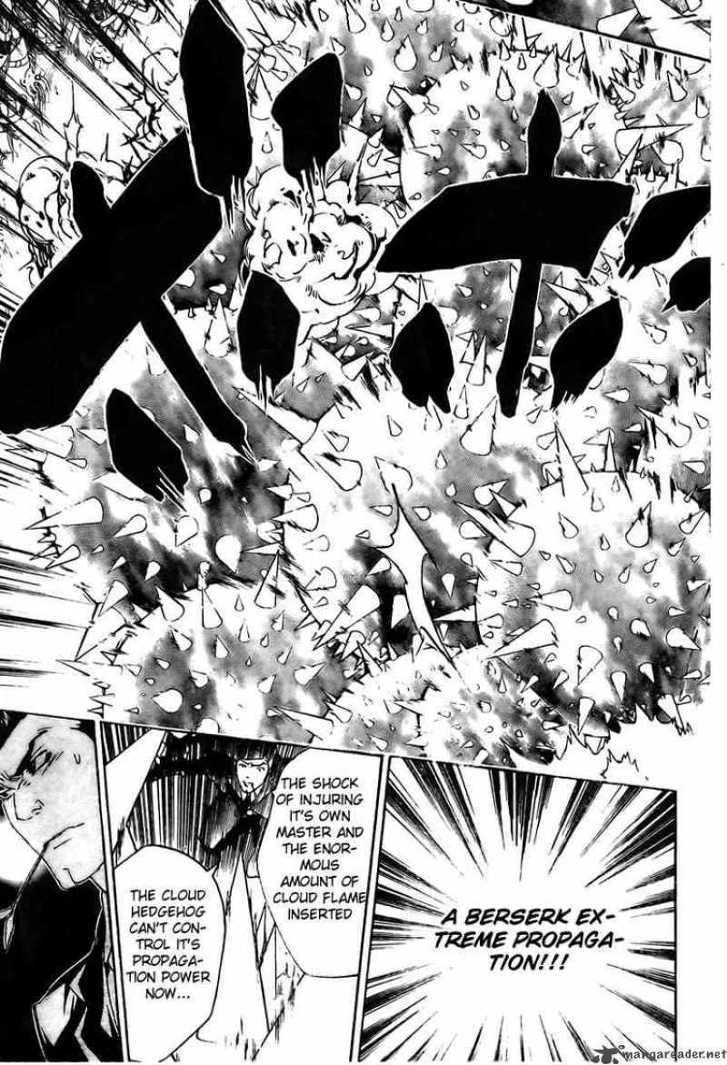 Katekyo Hitman Reborn! Chapter 210 page 13