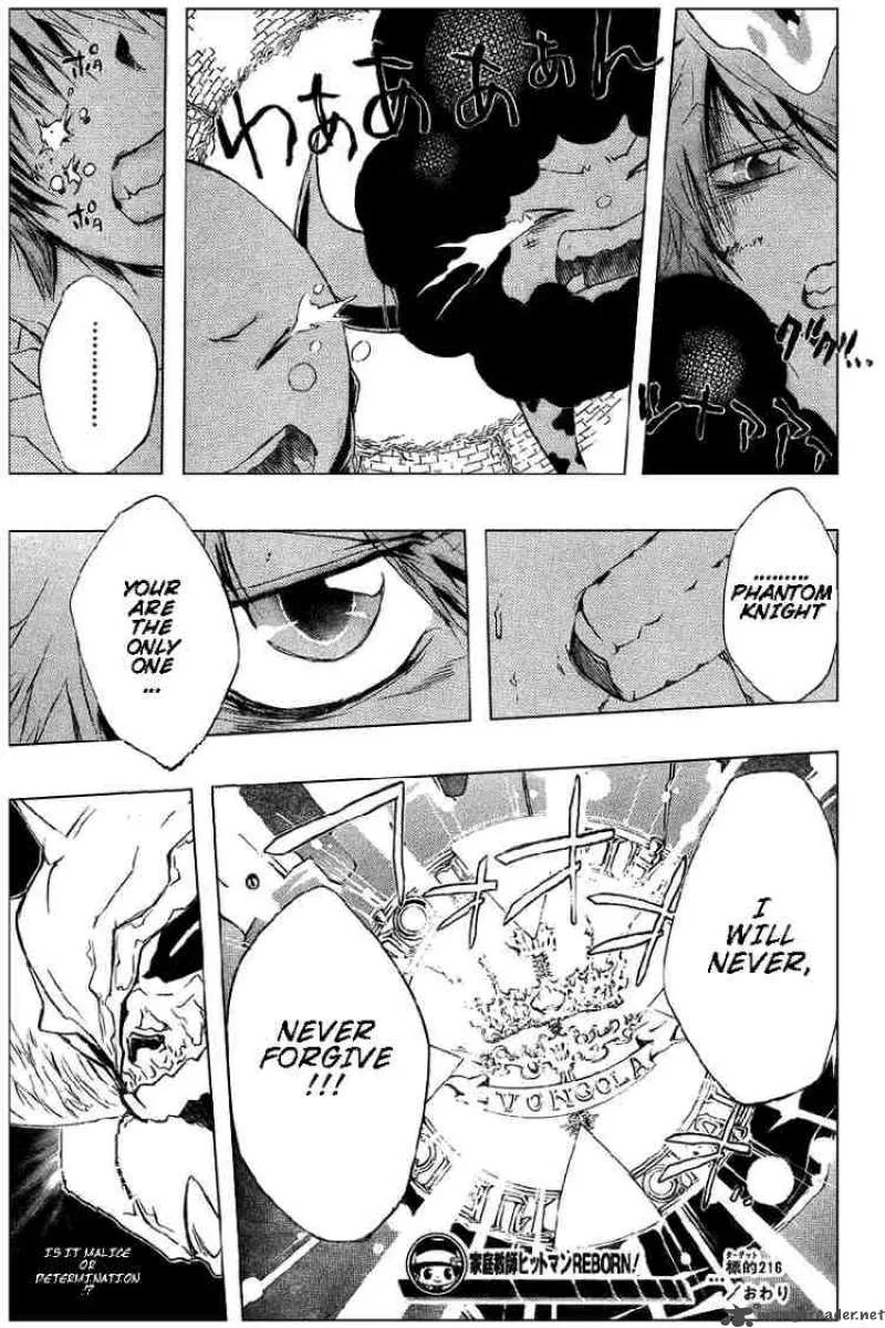 Katekyo Hitman Reborn! Chapter 216 page 17