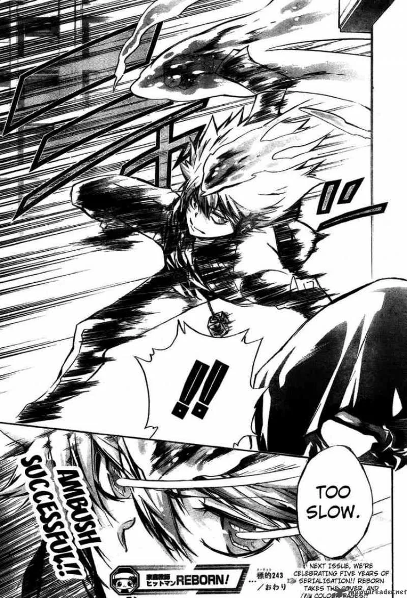 Katekyo Hitman Reborn! Chapter 243 page 17