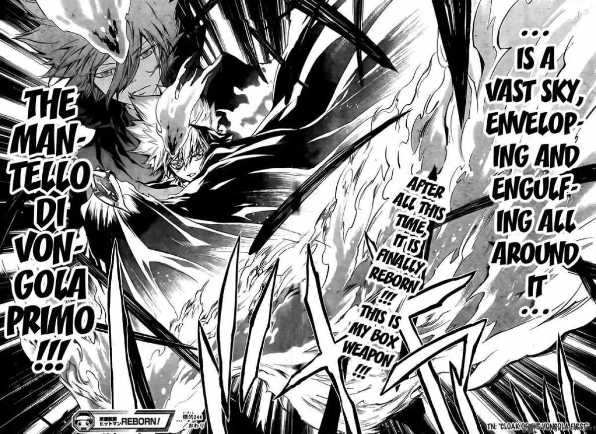 Katekyo Hitman Reborn! Chapter 244 page 19