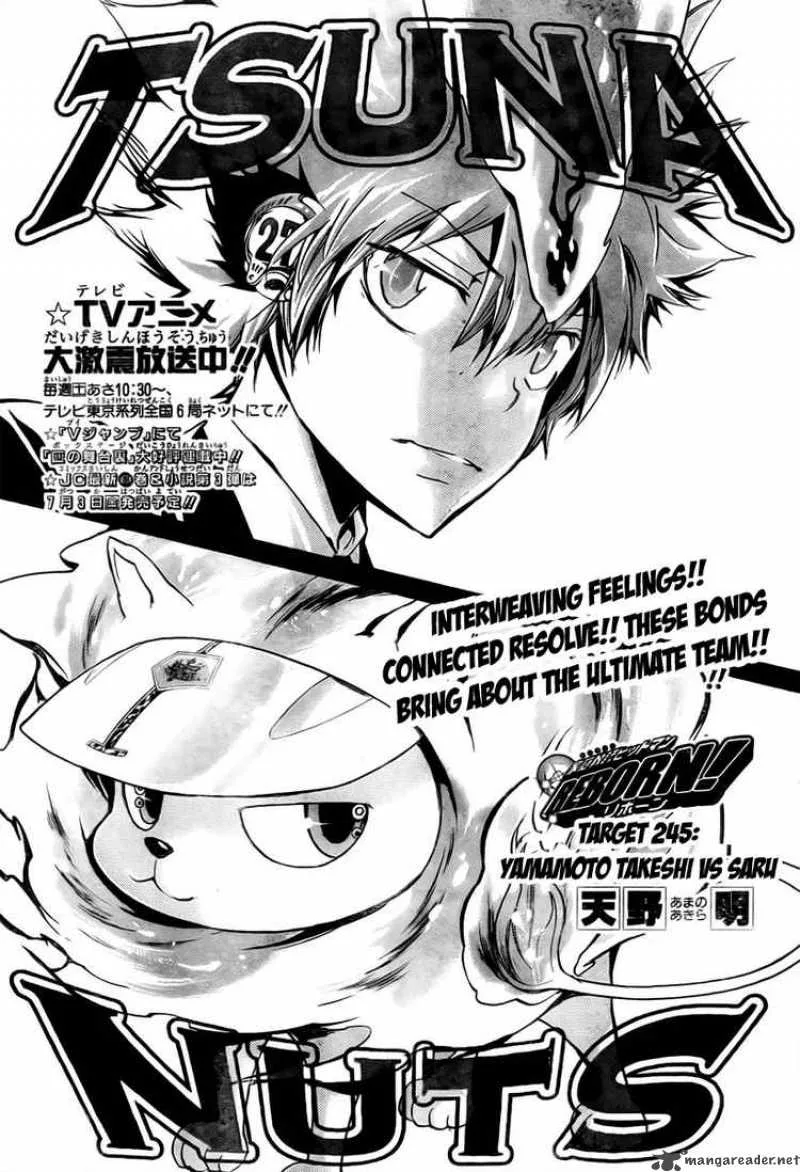 Katekyo Hitman Reborn! Chapter 245 page 1