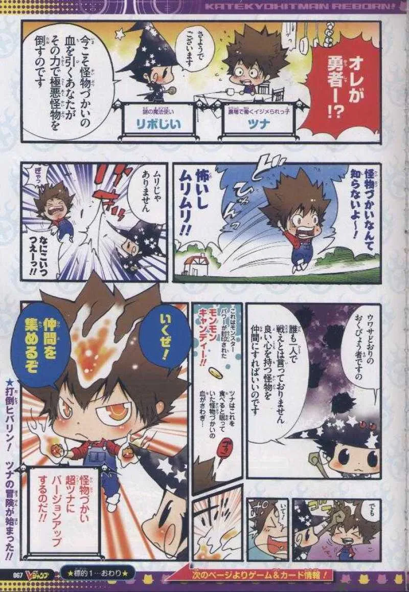 Katekyo Hitman Reborn! Chapter 254 page 19