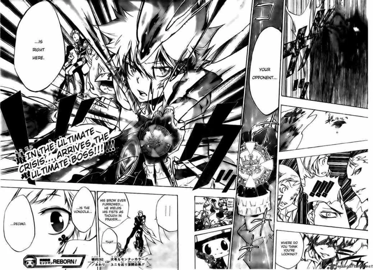 Katekyo Hitman Reborn! Chapter 262 page 17