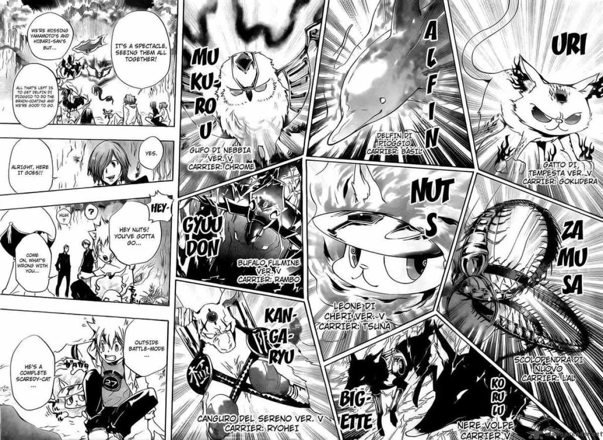 Katekyo Hitman Reborn! Chapter 265 page 8