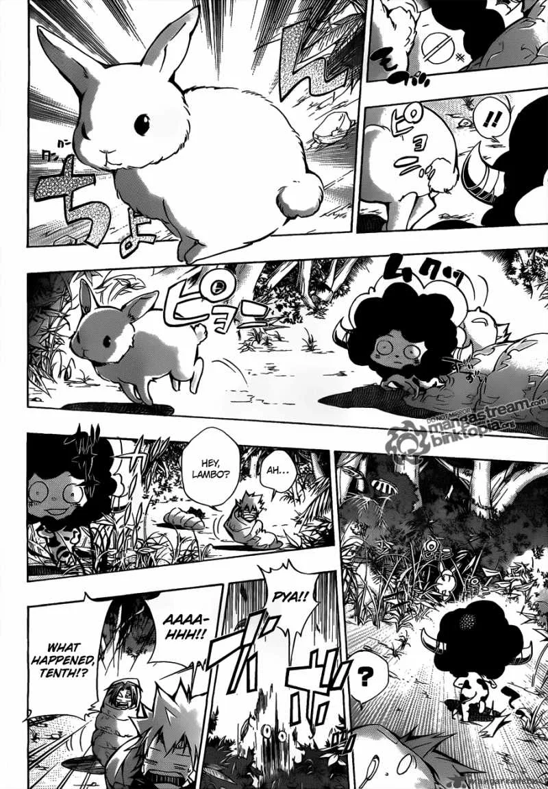 Katekyo Hitman Reborn! Chapter 309 page 15