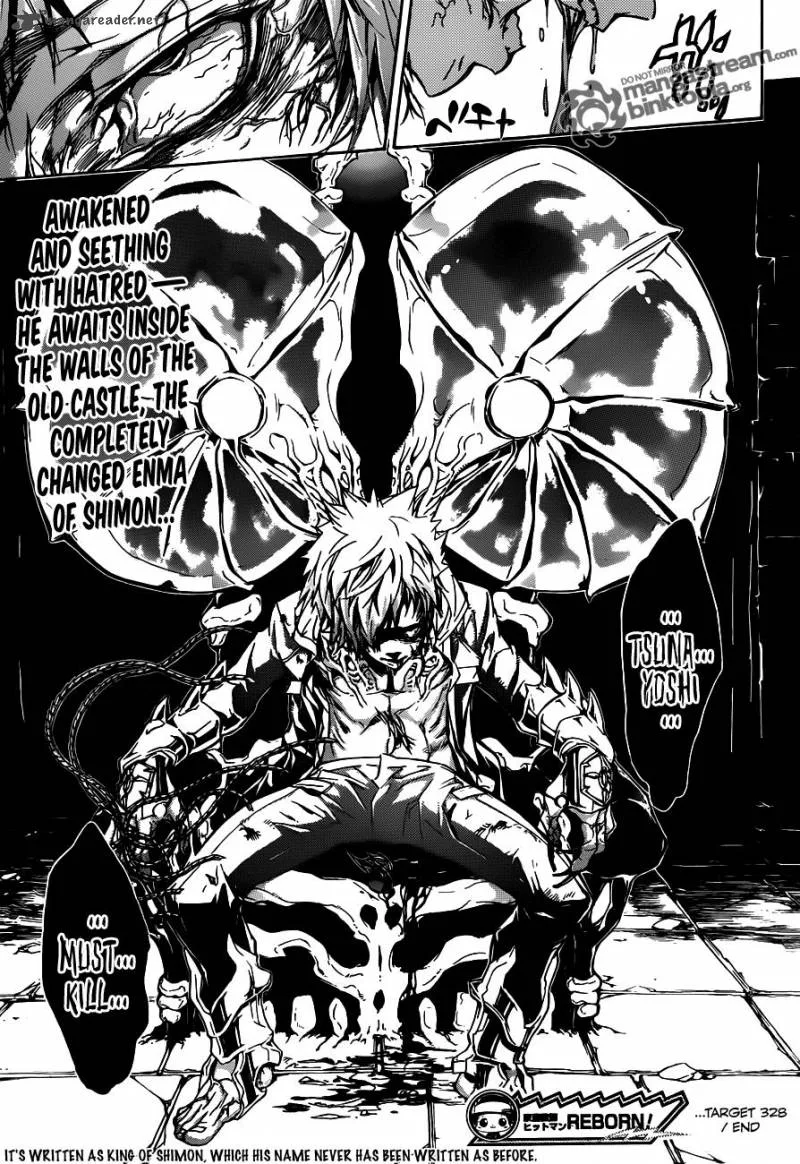 Katekyo Hitman Reborn! Chapter 328 page 17