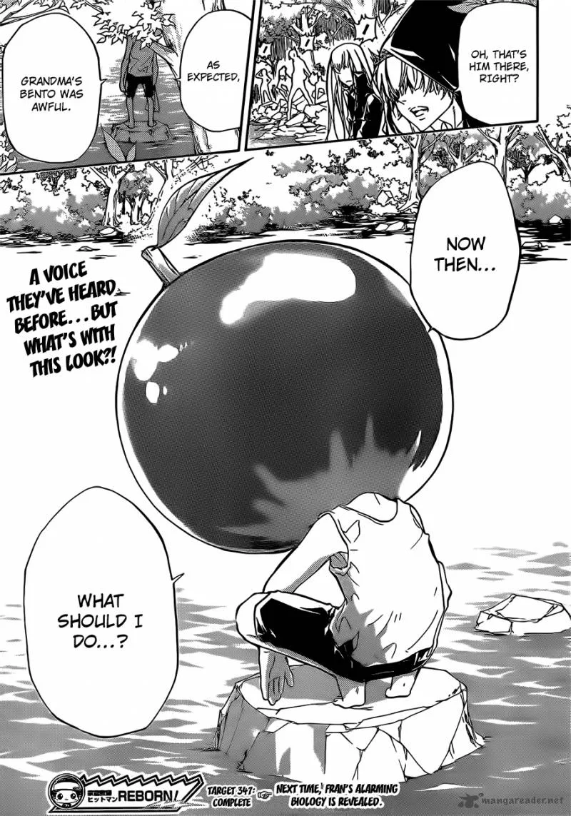 Katekyo Hitman Reborn! Chapter 347 page 17
