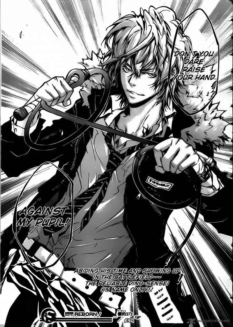Katekyo Hitman Reborn! Chapter 373 page 17